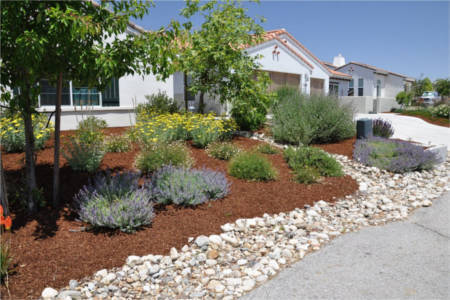 Decorative Stone Pebbles Garden Design Palmerston North